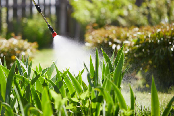 24/7 Emergency Mosquito Control experts in Southwest Greensburg, PA